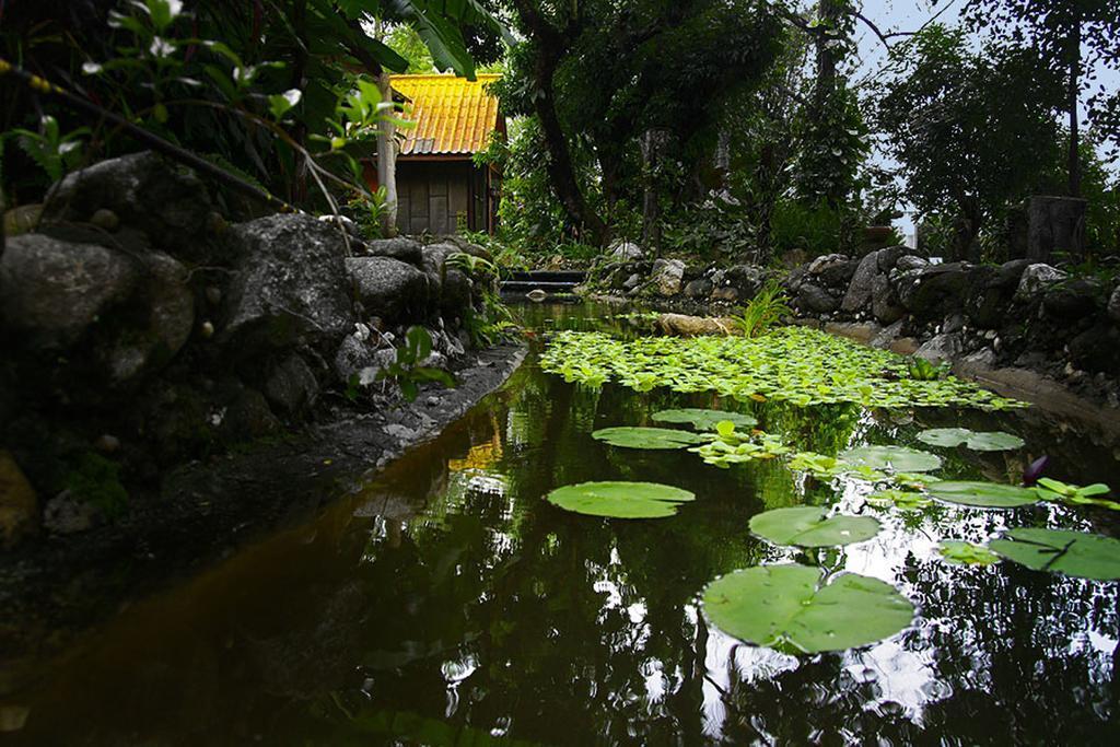 Areeya Phuree Resort Thaton Mae Ai Exteriör bild